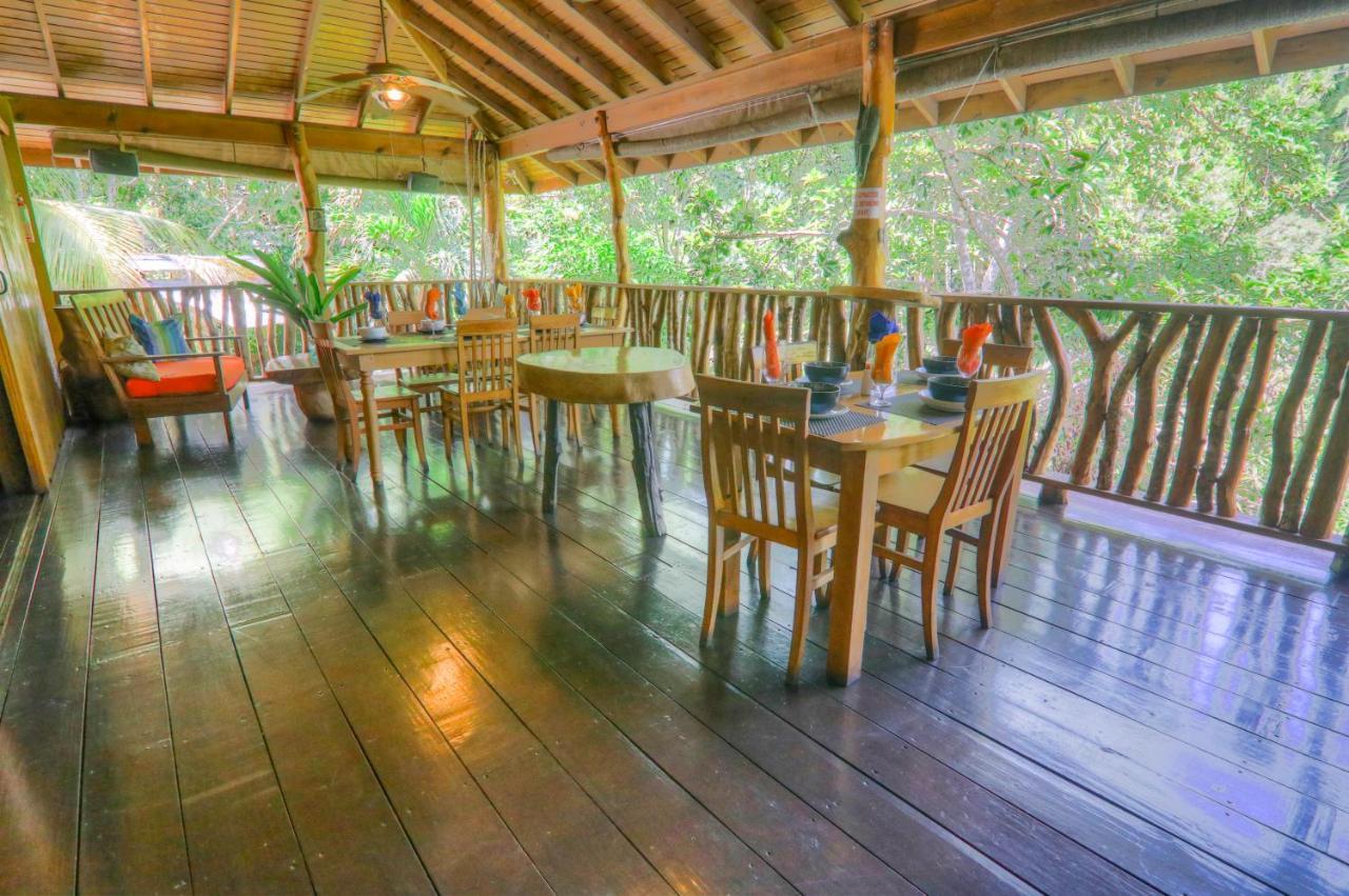 Вилла Zimbali Culinary Retreats Негрил Экстерьер фото