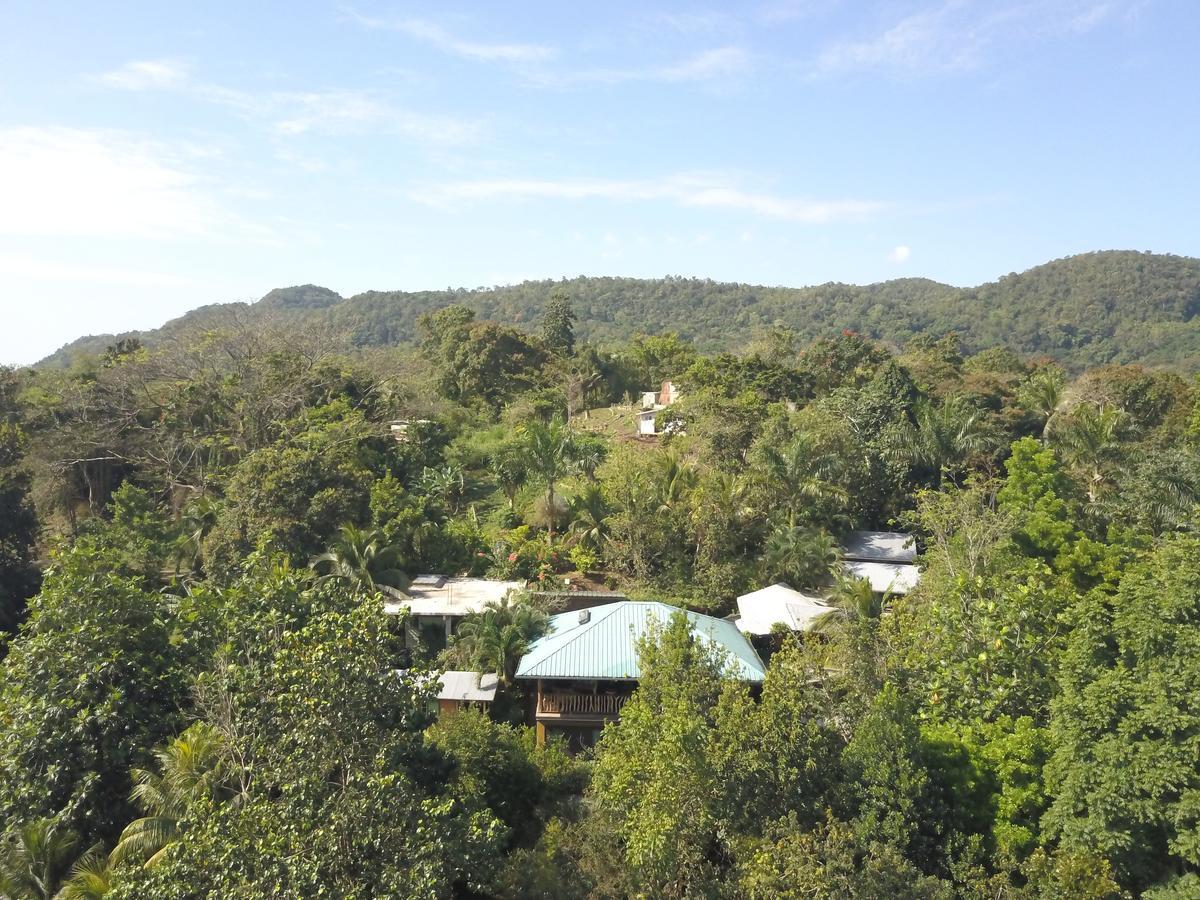 Вилла Zimbali Culinary Retreats Негрил Экстерьер фото