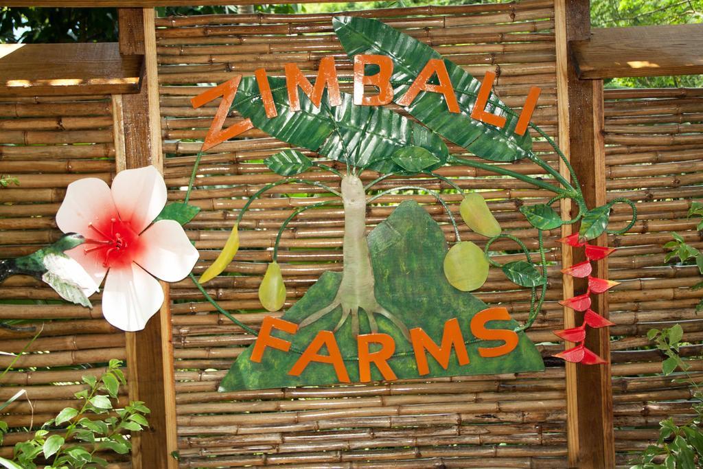 Вилла Zimbali Culinary Retreats Негрил Экстерьер фото