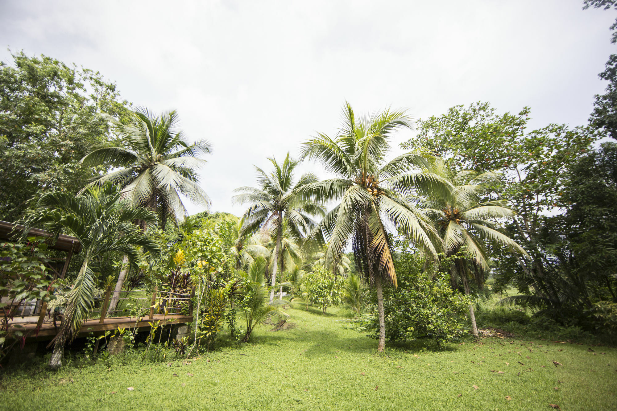 Вилла Zimbali Culinary Retreats Негрил Экстерьер фото
