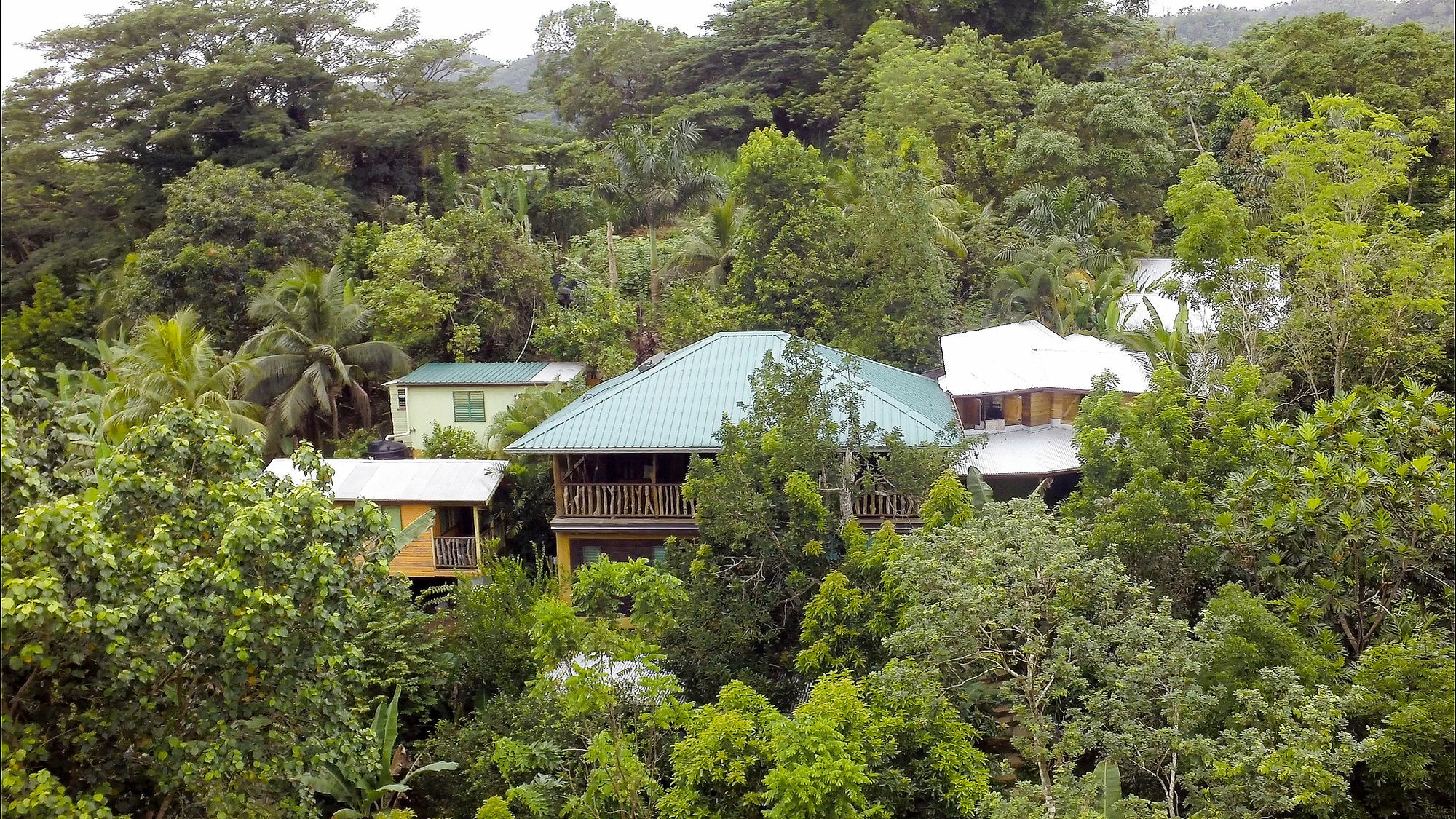 Вилла Zimbali Culinary Retreats Негрил Экстерьер фото
